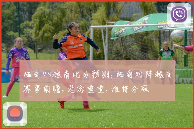 缅甸vs越南比分预测,缅甸对阵越南赛事前瞻,悬念重重,谁将夺冠