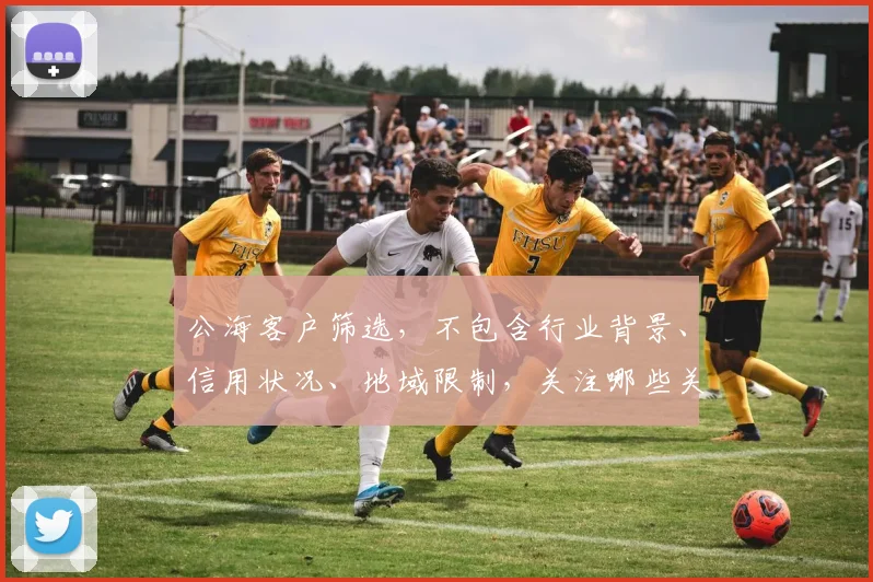 公海客户筛选，不包含行业背景、信用状况、地域限制，关注哪些关键要素